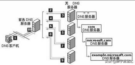DNS服务器上怎么看地址记录  第1张