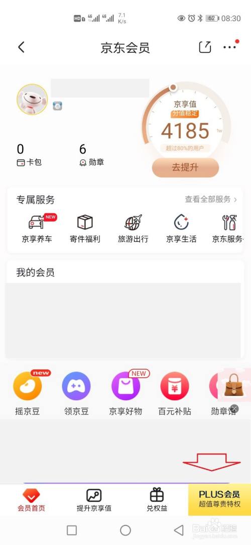 京东怎么开通会员-京东开通会员的方法  第1张