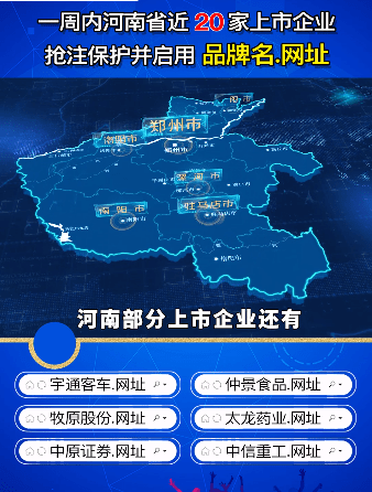 在河南进行域名注册查询前，我需要准备哪些必备资料？