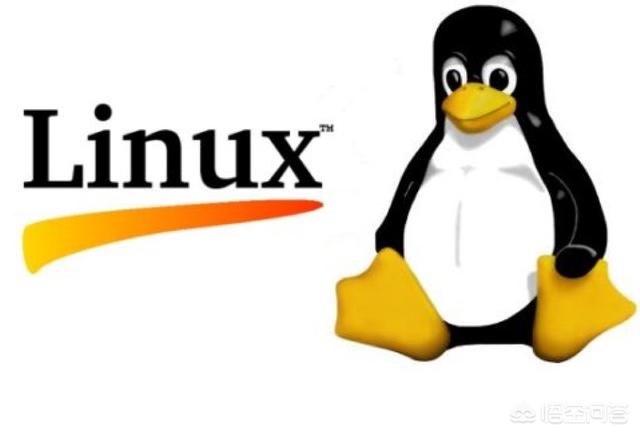 哪个Linux系统更适合你？探索五大流行Linux发行版的特点