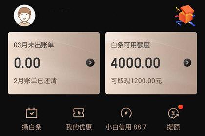 为什么jd白条没有额度  第1张