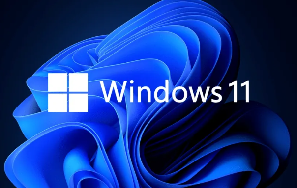 如何在Windows 11系统中使用电脑进行拍照？  第1张