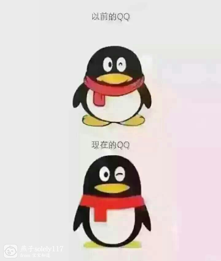 扣扣为什么我看过谁  第1张