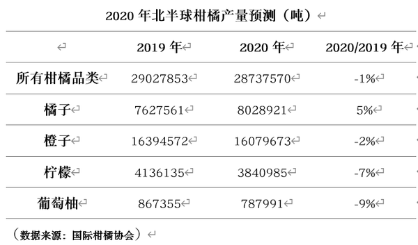 桔子数据