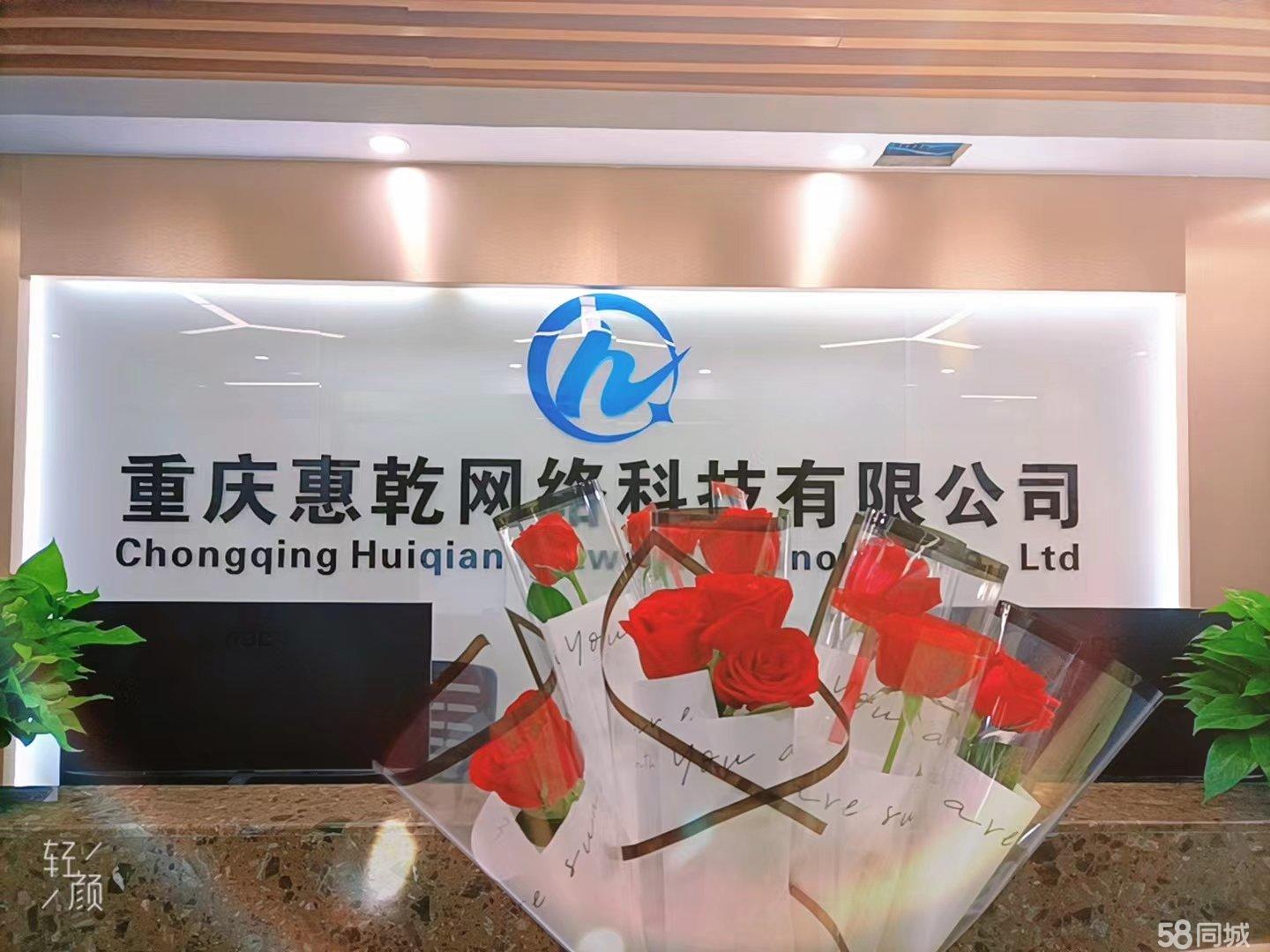 重庆网络公司简介