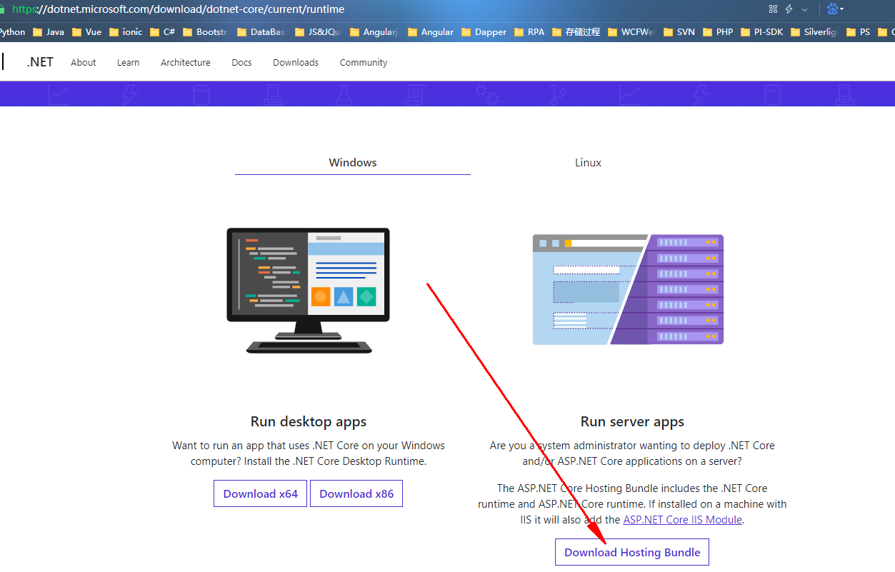 asp.net应用_ASP.NET Core应用部署到CAE