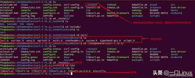 如何使用Linux命令行工具获取网页内容？