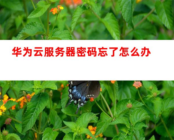 云服务器的密码忘了怎么办啊
