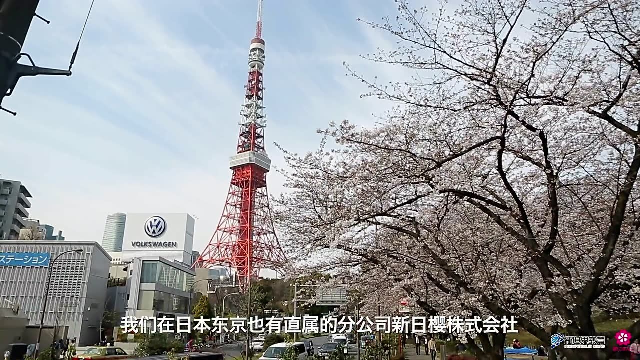 日本樱花服务器天上天下  第1张