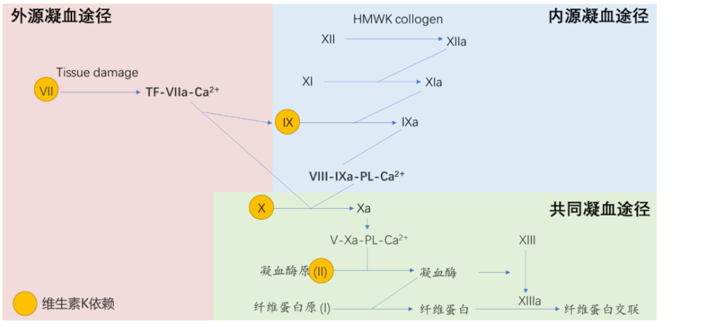 apt与camp的区别与联系  第1张