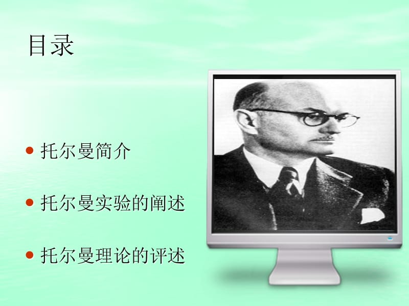 sor托尔曼o是什么  第1张
