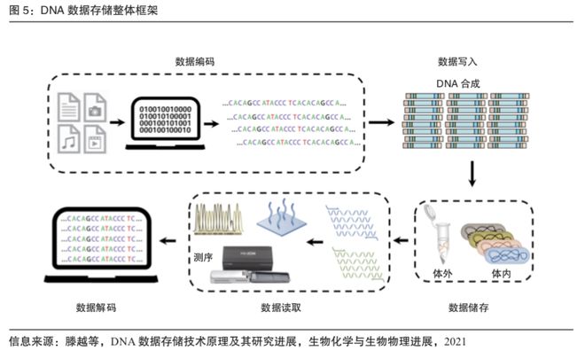 DNA存储的内容  第1张
