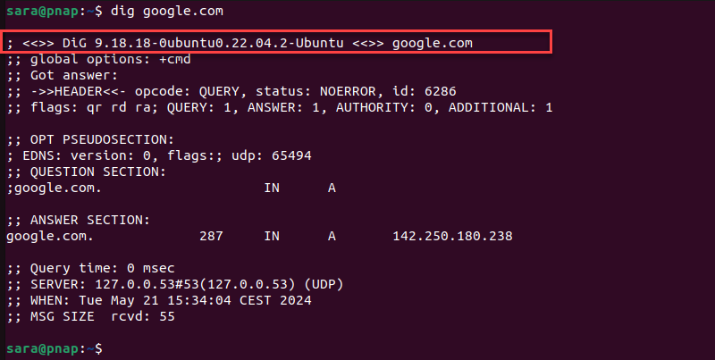 dns look up  第1张