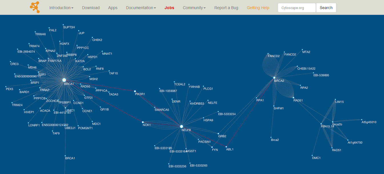 cytoscape.js 教程  第1张