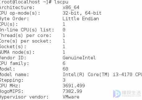 linux怎么看主机型号  第1张