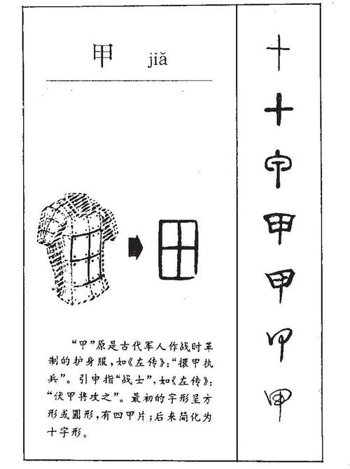 图甲是什么意思  第1张