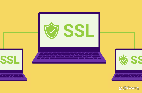 ssl服务器免费使用的方法是什么