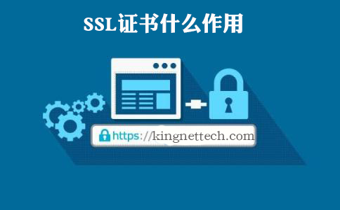 网站ssl证书的作用是什么呢  第1张