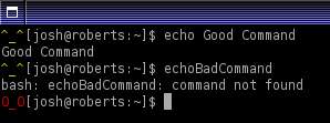 Linux bash中的命令行展开介绍