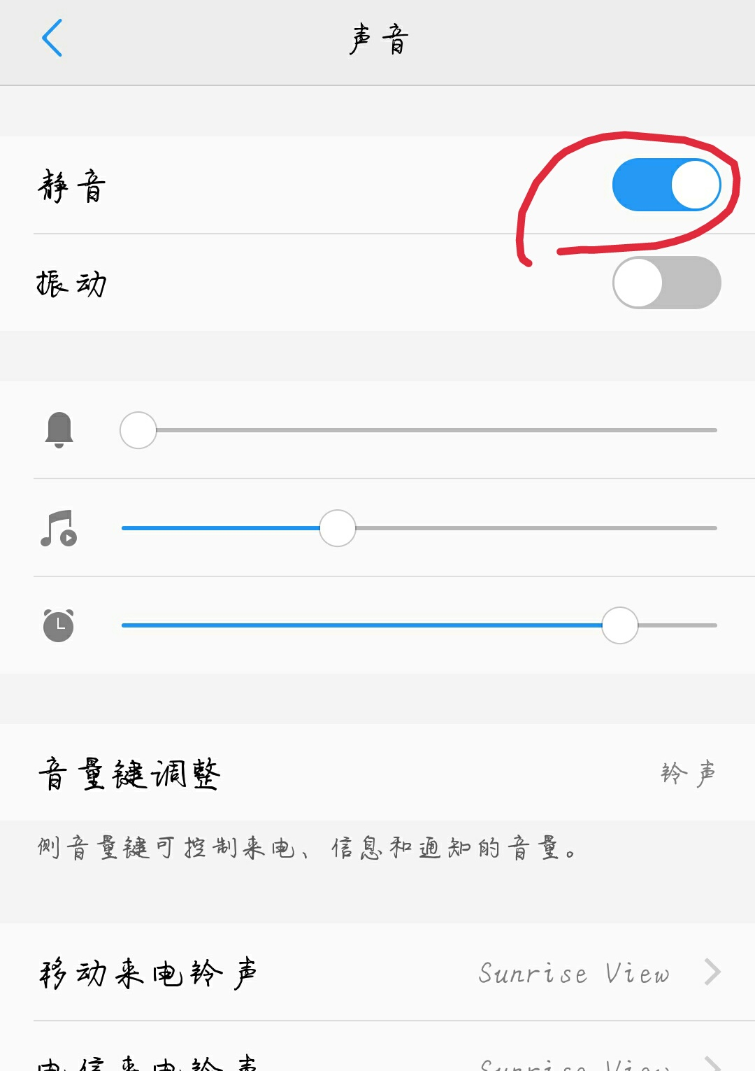 手机为什么没有声音了