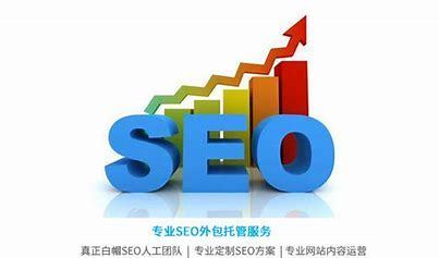 上海专业seo企业能否提高网站排名,上海专业seo企业介绍