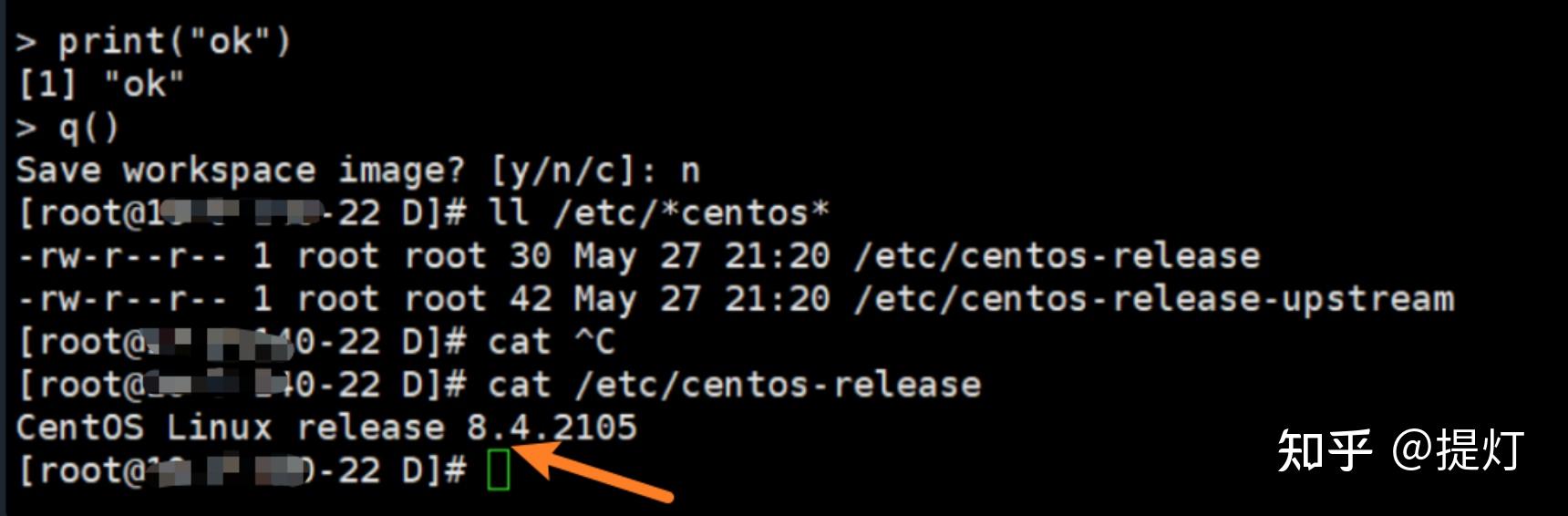 在Linux系统上使用RStudio进行数据可视化的配置方法  第1张