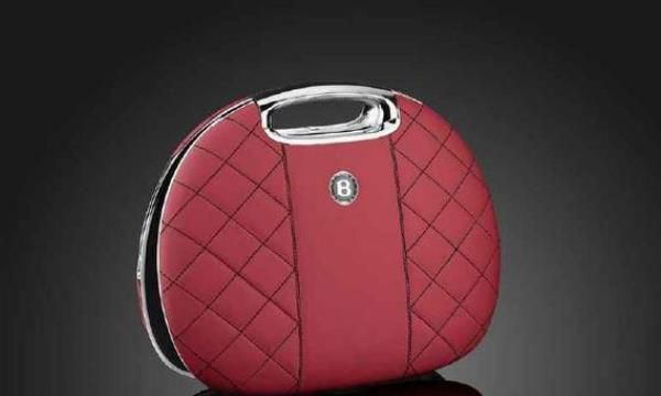 世界十大最贵的电脑 Luvaglio售价100万美元，第四外形像小包  第1张
