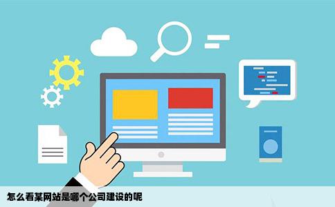 公司建立自己的网站吗_用户查询自己的信息