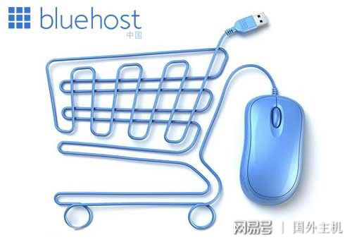国外性价比高的VPS要考虑哪些因素？  第1张