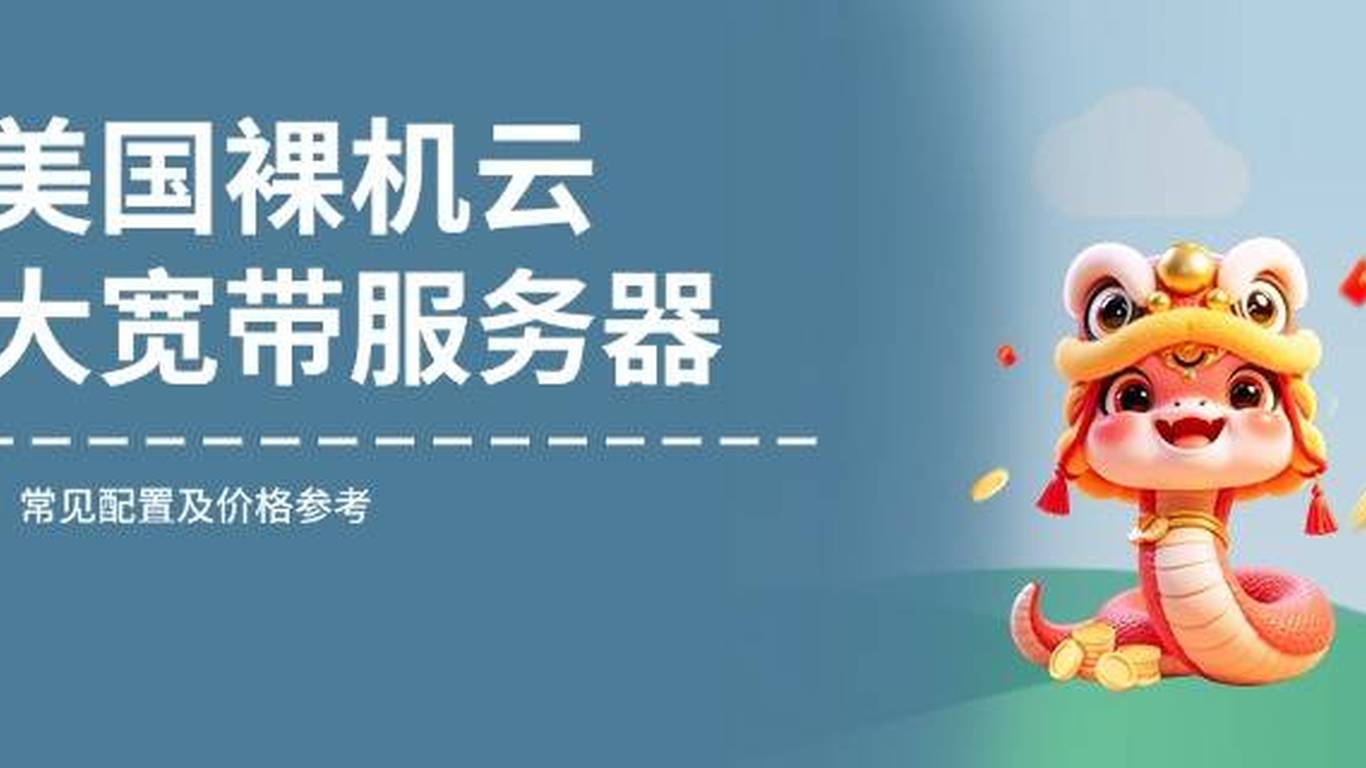 美国大宽带云服务器购买怎么用不了