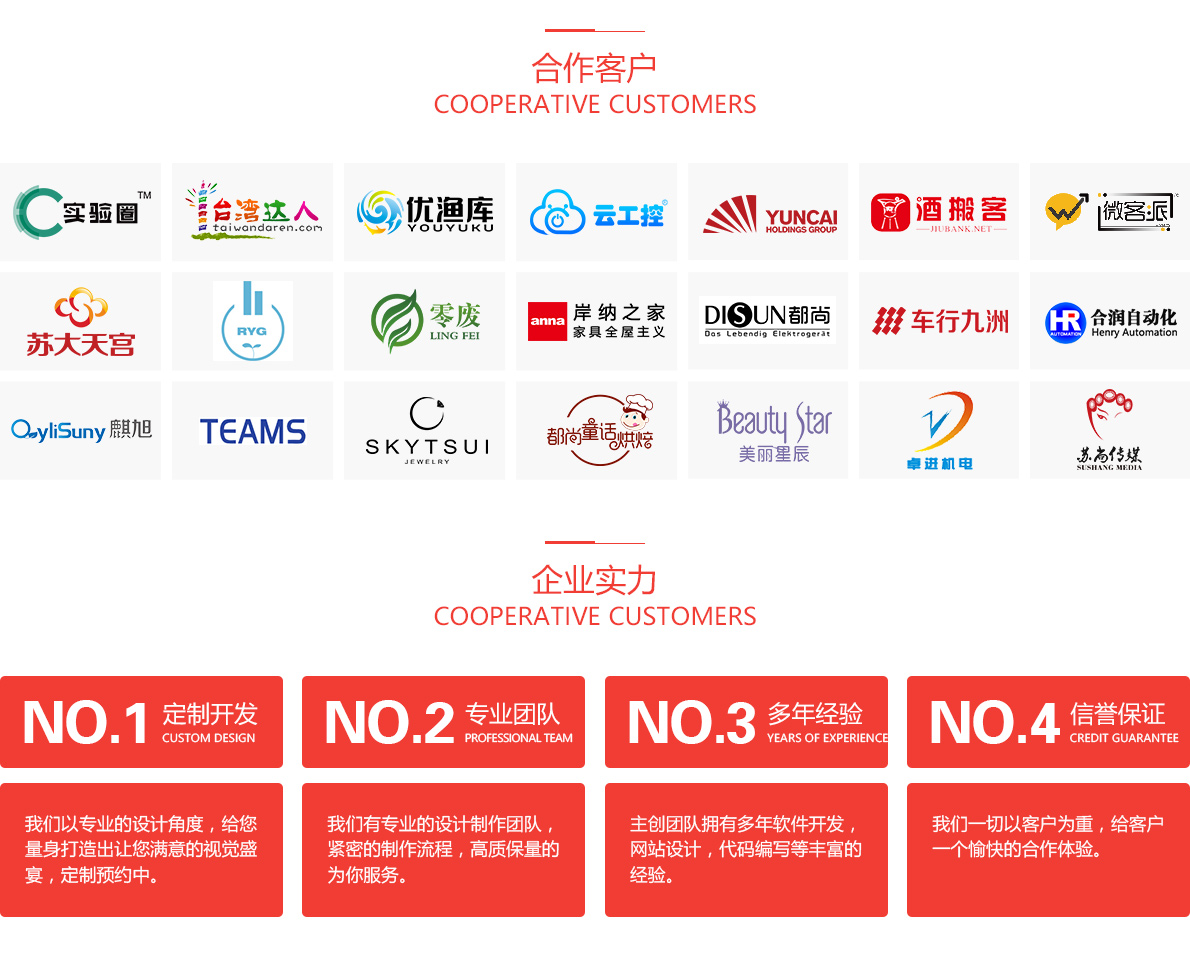 品牌网站建设方案_定制双品牌