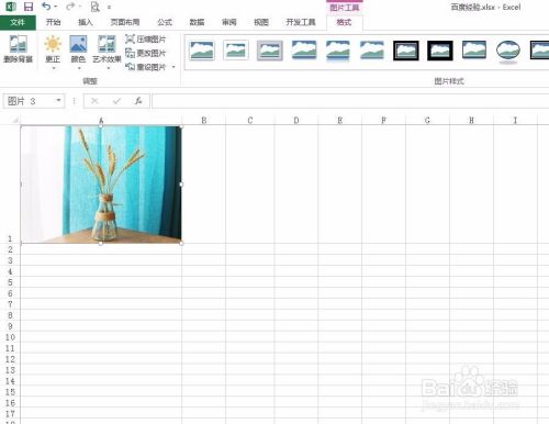 图片怎样放在excel表格中  第1张
