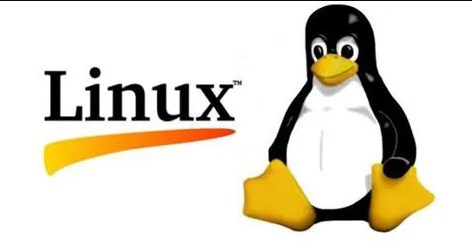 如何在 Linux 上让一段时间不活动的用户自动登出  第1张