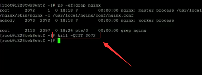 启动nginx服务提示98: Address already in use  第1张