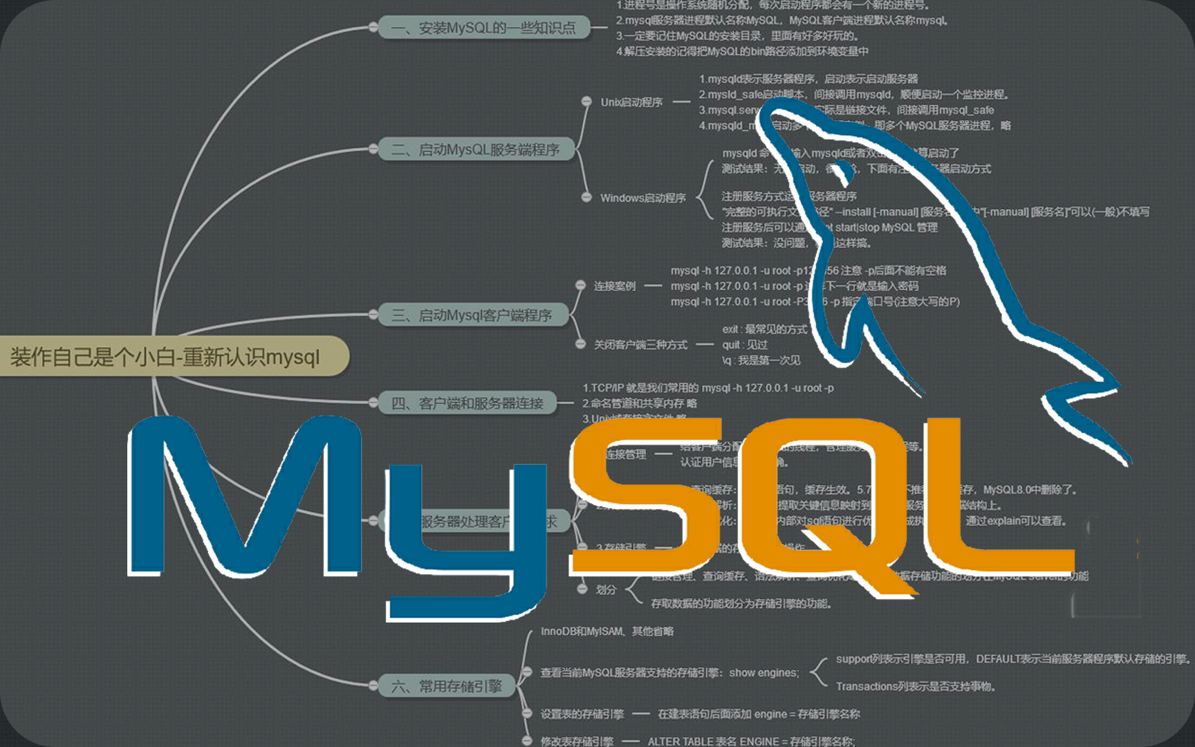 C语言与MySQL数据库类型比较及实践