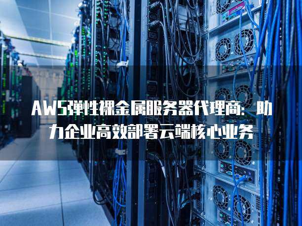什么是裸金属服务器?aws有没有类似的产品推荐