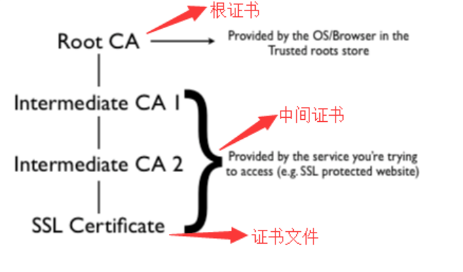 SSL证书文件格式有哪些，您知道吗？  第1张