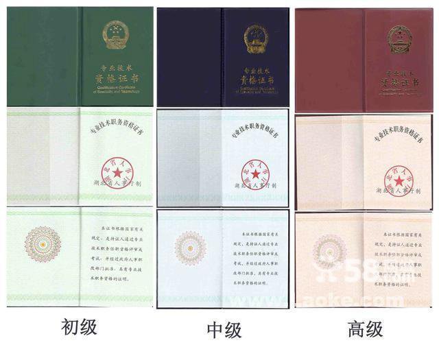 高级电子工程师证书_高级服务工程师