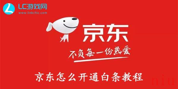 京东怎么开通白条-京东开通白条的方法