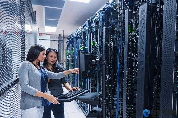 免费资源服务器：让你轻松拥有海量资源