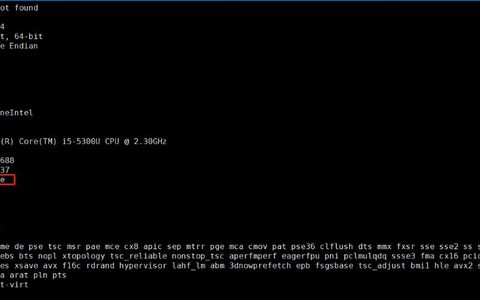 linux物理服务器小虚拟化的步骤是什么意思