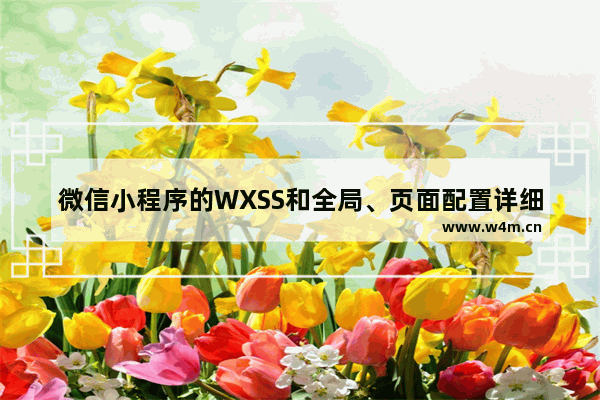 微信小程序wxss样式  第1张