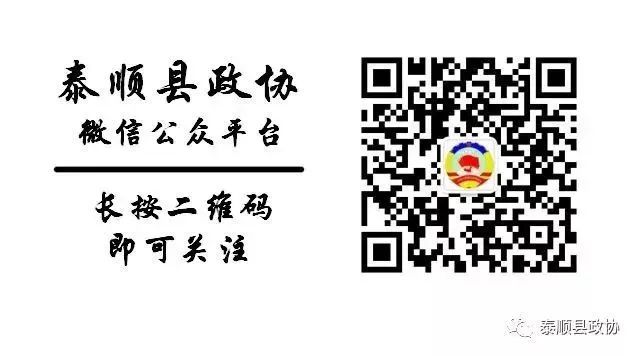 泰顺网是什么,泰顺网提供哪些服务