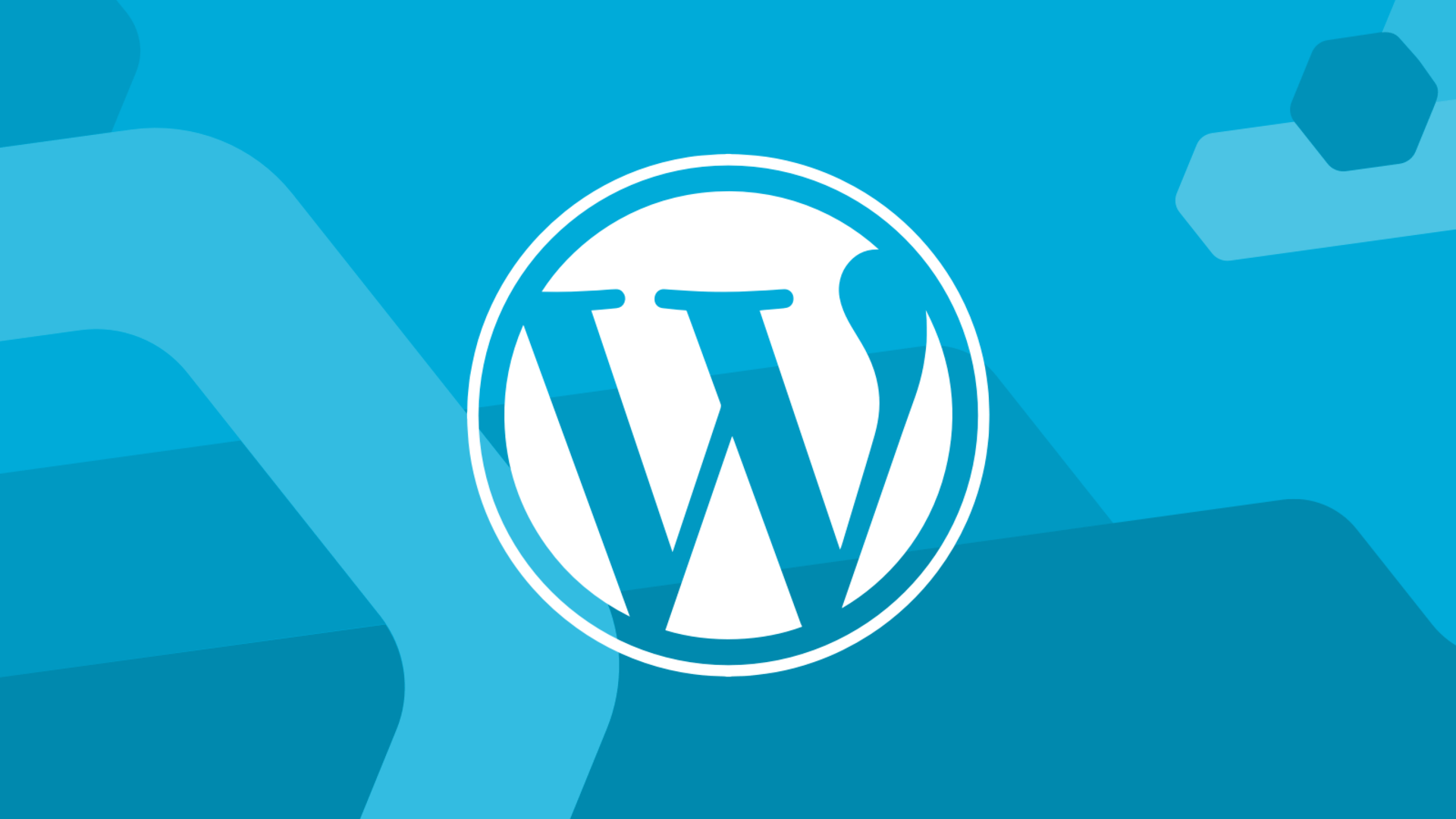 wordpress适合做什么网站,什么是wordpress网站_wordpress是用什么语言编写的  第1张