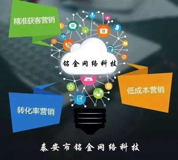 泰安网络推广哪家企业靠谱,泰安网络推广企业的发展历程  第1张