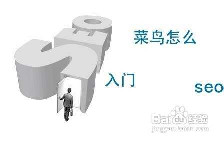 菜鸟教程培训seo  第1张