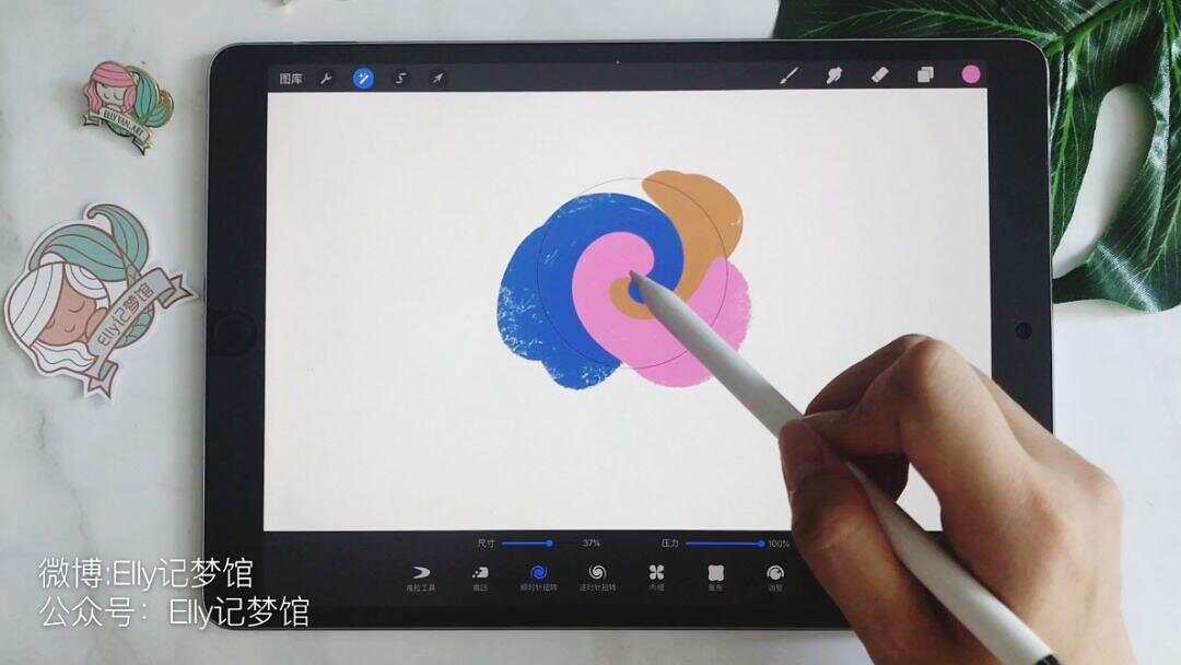 procreate手机版和iPad版有什么差别-procreate手机版和iPad版差别介绍