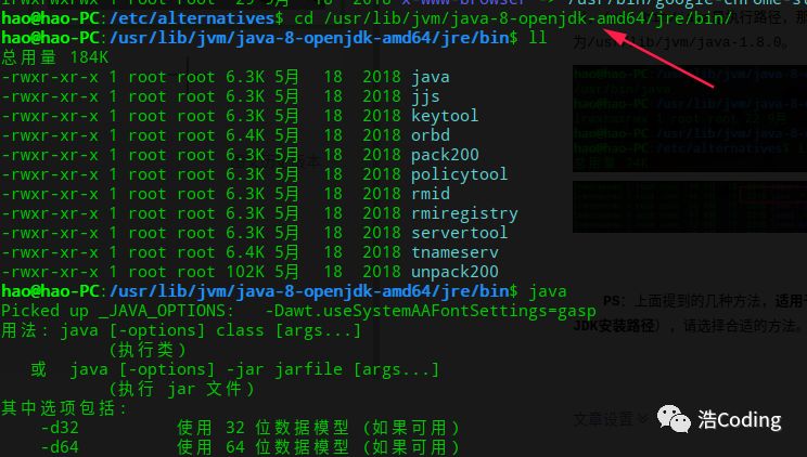 Linux中如何查看jdk的安装路径