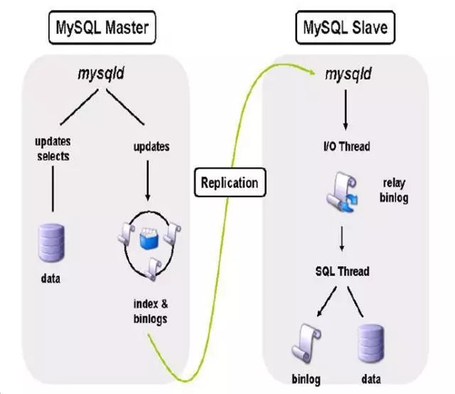 mysql机构_检定机构，如何确保MySQL数据库的可靠性与准确性？