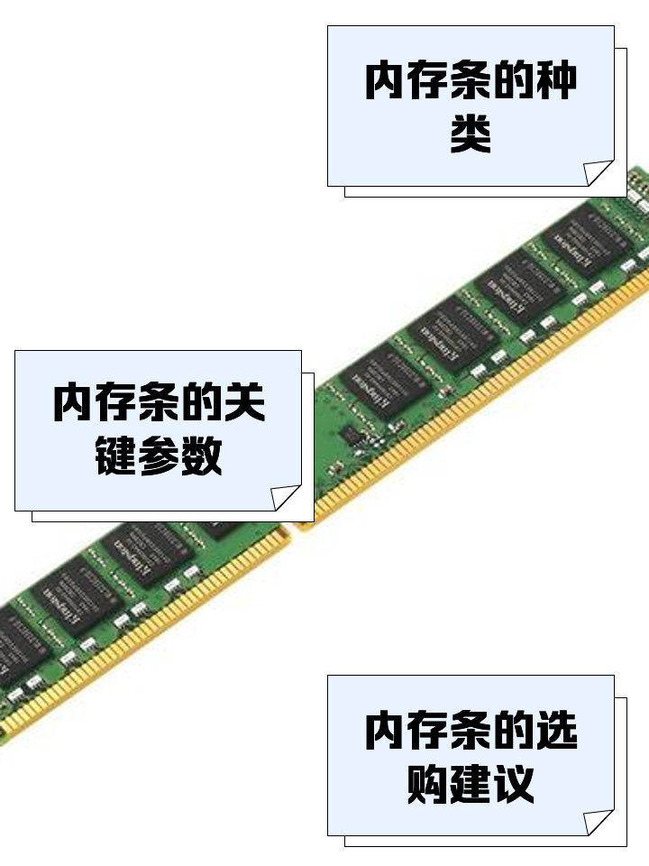 选择内存条时，如何确定最适合您服务器需求的型号？